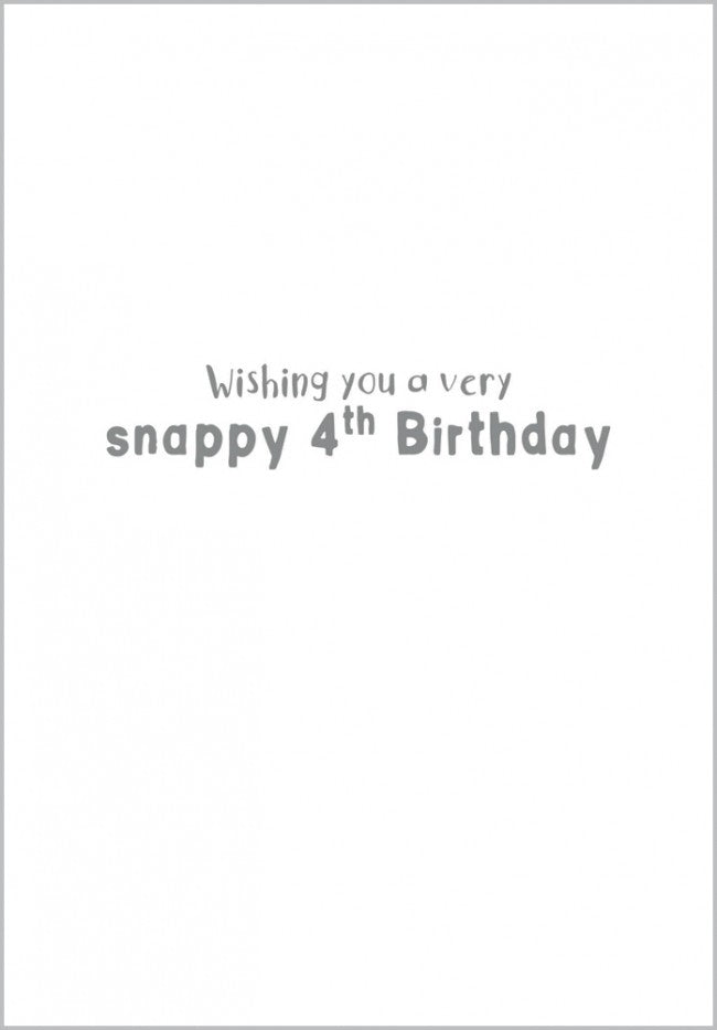 
            
                Load image into Gallery viewer, Age 4 - Snappy Birthday Card
            
        