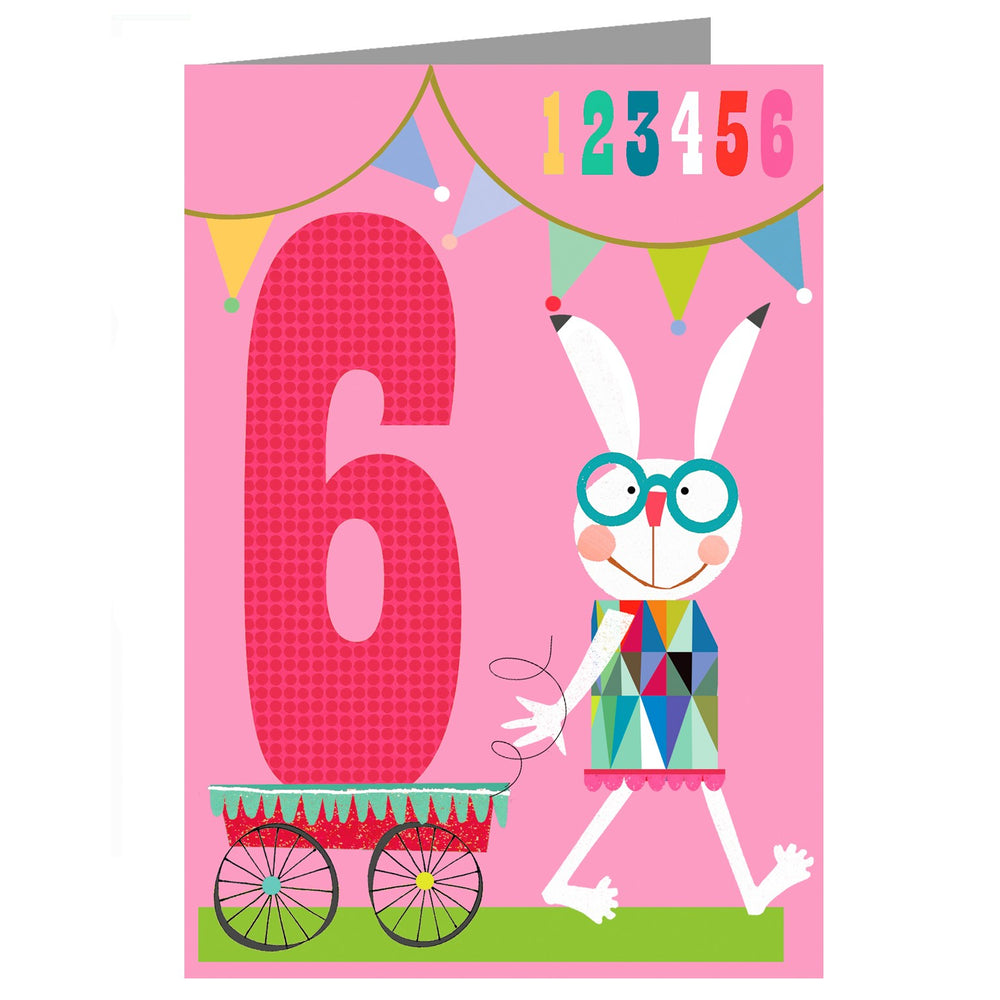 Age 6 - Six Flags Birthday Card