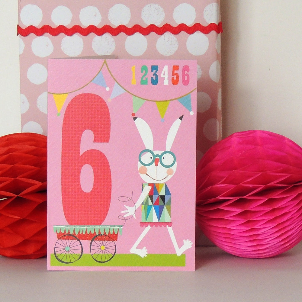 Age 6 - Six Flags Birthday Card