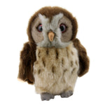 Wilberry Woodland - Tawny Owl